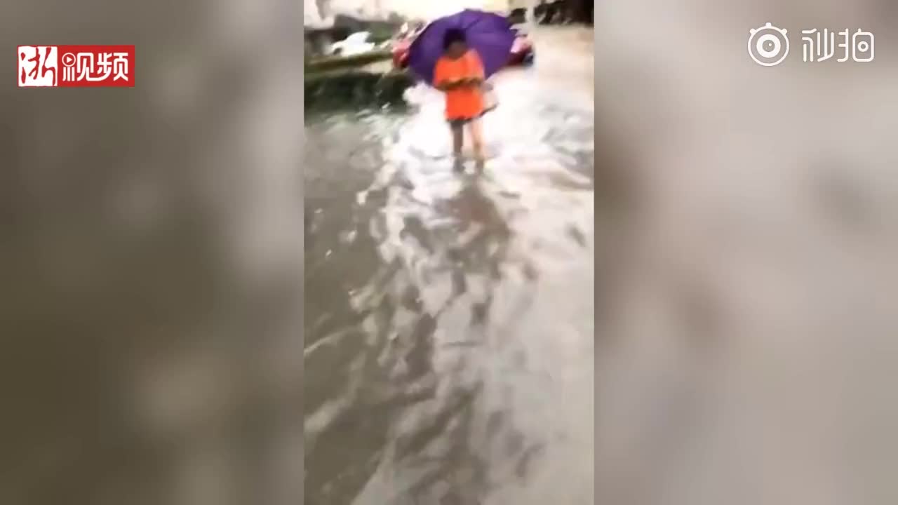 浙江平湖一医生划船上班，结果还是迟到了