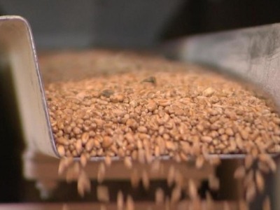 英国小麦收成或跌至40年最低，面粉面包价格可能将全面上涨