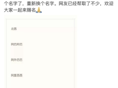 阿里巴巴注册新公司叫京西 Altaba：跟我学？