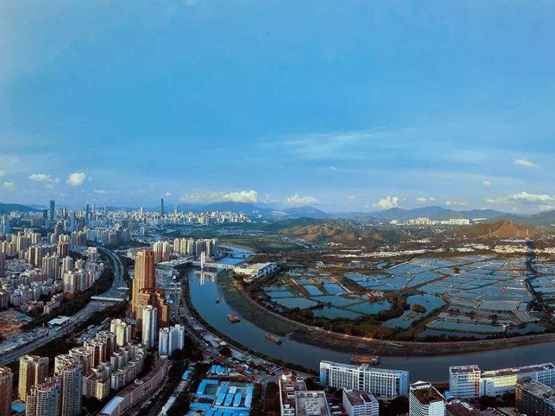 林郑月娥在深考察深港科技创新合作区