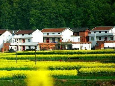 广东发布全面推进农房管控和乡村风貌提升指导意见：农村村民一户只能拥有一处宅基地