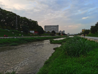 凤凰街道：以“河长制”促进“河常治”持续改善河道环境 