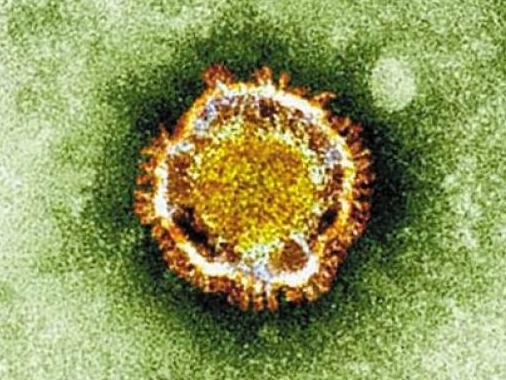 美媒：荷兰发现4例二次感染新冠肺炎病例，全球累计6例