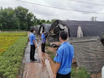 马田街道组织200多名网格员  开展台风过后安全隐患巡查