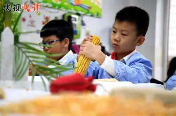 央视快评丨在全社会营造浪费可耻节约为荣的氛围
