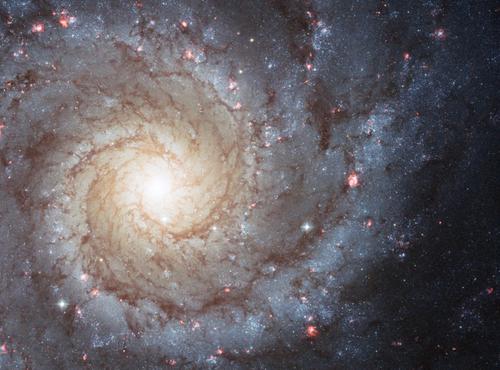 ALMA发现迄今最遥远类银河系星系