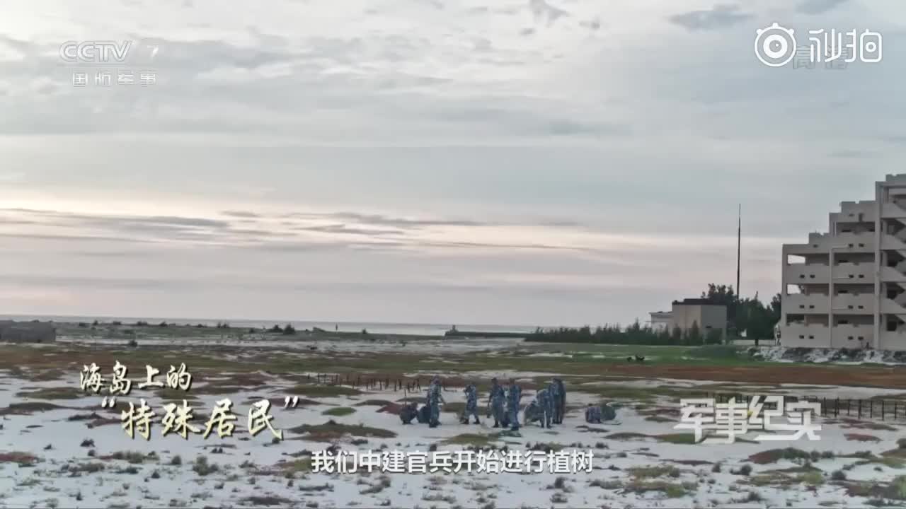 海疆有我！解放军种树南海戈壁变海上绿洲