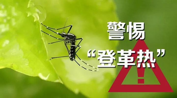 （坪山）登革热进入高发期！坪山区人民医院提示：加强预防是关键