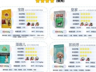 狗狗口粮要选哪种？深圳发布2020网红狗粮比较试验报告