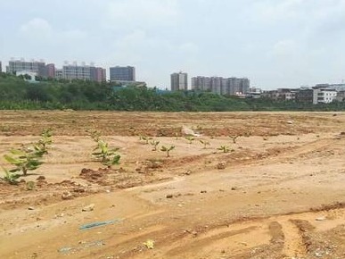 广东今年已批准用地21.44万亩 同比增长20%