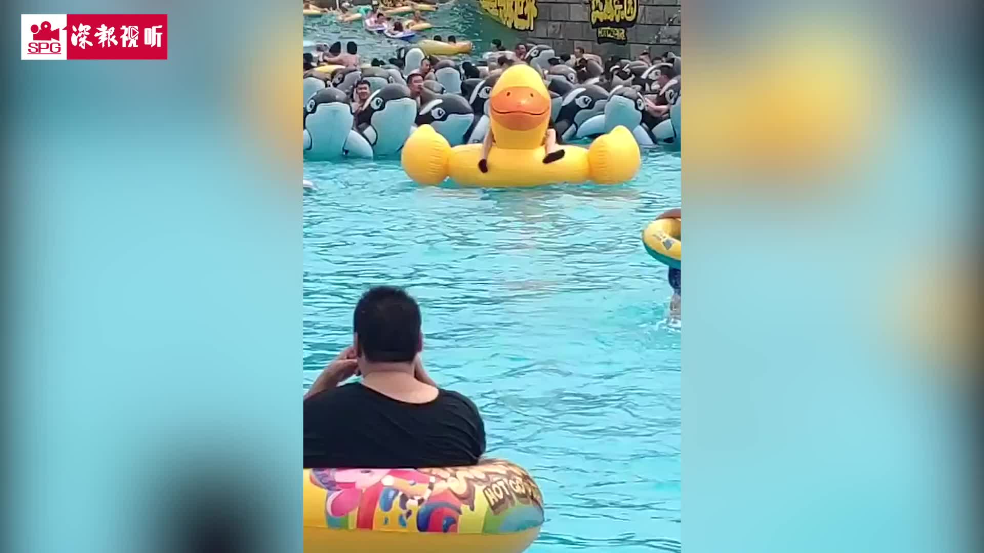 水上乐园的名场面！骑“海豚”冲浪也要小心翻车鸭
