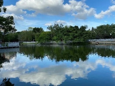 宝安区30个小湖塘重现水清岸绿！  