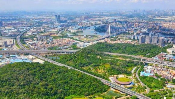 全国首个国家森林城市群有望年底在粤建成