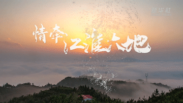 微视频｜情牵江淮大地