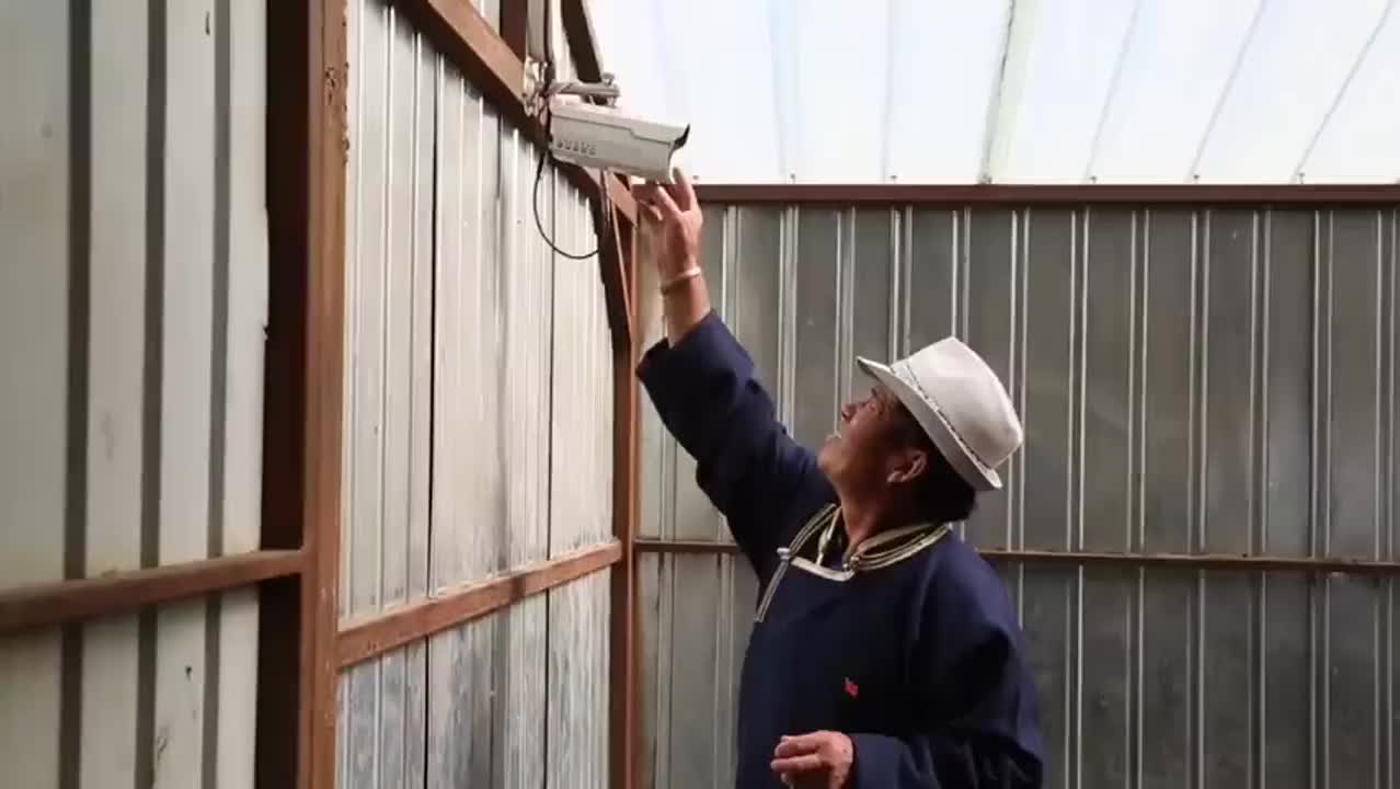呼伦贝尔的日常：勃勃生机、欣欣向荣！