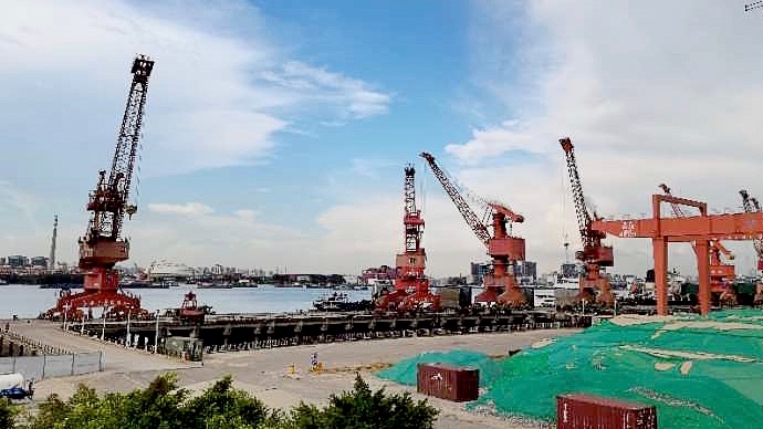 7年增长15倍！番禺龙沙港口码头华丽转型升级
