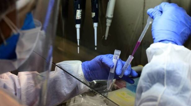 巴西媒体：巴西一女性已携带新冠病毒5个月且仍具传染性
