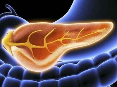 自然子刊：新的胰岛细胞皮下移植方法或改善1型糖尿病治疗