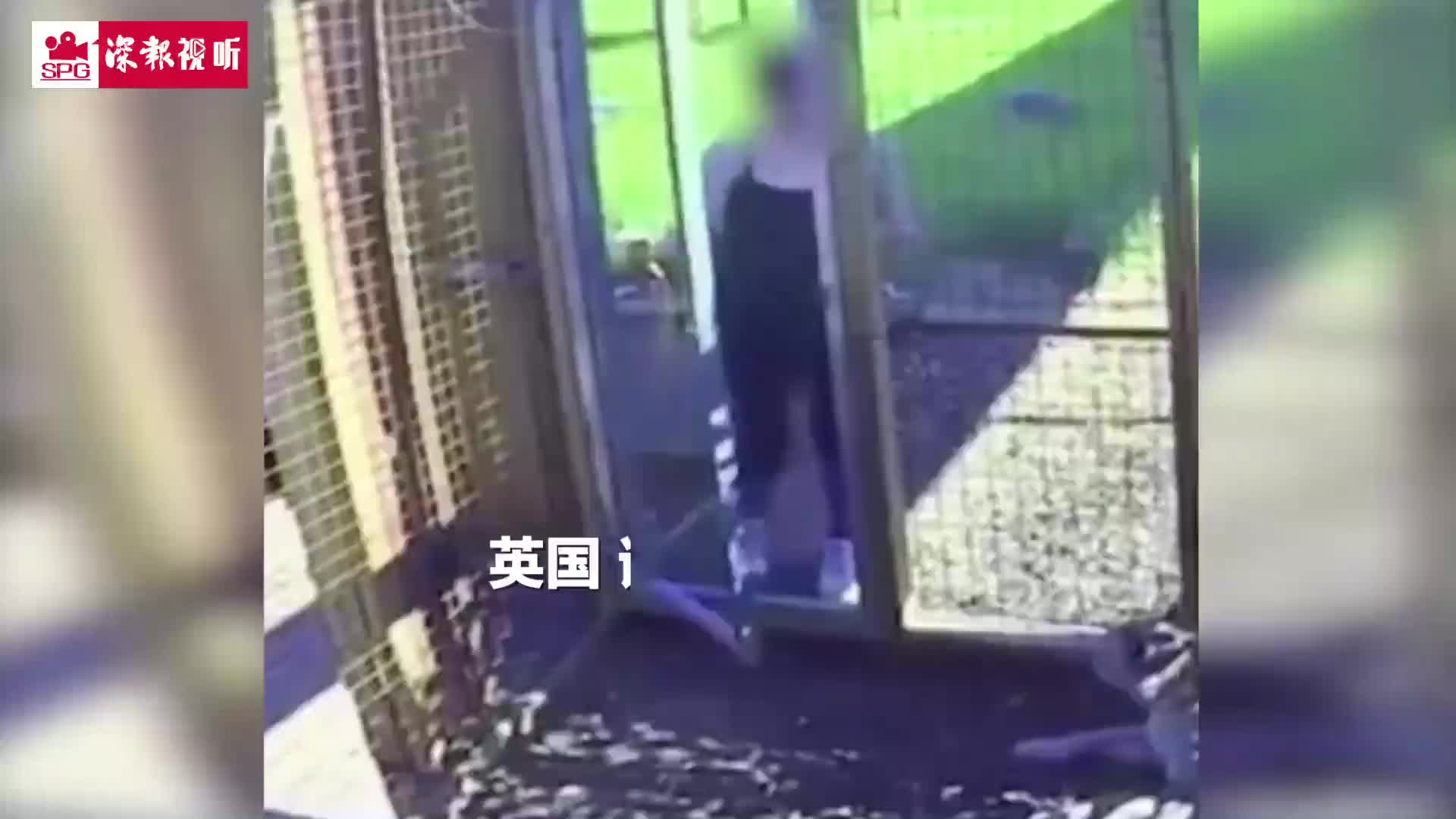 英国一男子私养山狮 16岁少女被袭击险些丧命