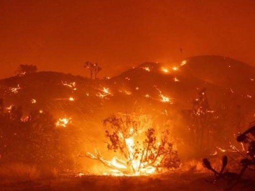 一片火海！美国加州“酒乡”遭遇大火 千亩土地被毁 
