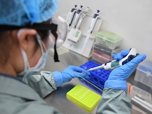 国家卫健委：鼓励疾控机构开展新冠病毒核酸检测服务