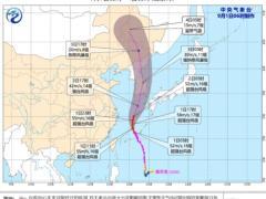 台风蓝色预警发布 浙江上海等地沿海将有7-9级大风