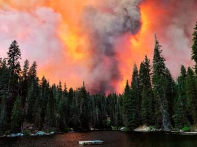 美加州山火今年已烧掉10多个纽约市面积，当地官员：山火季还没到