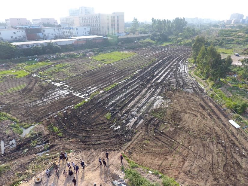 凤凰街道：全力推进土地整备为城市发展腾挪空间