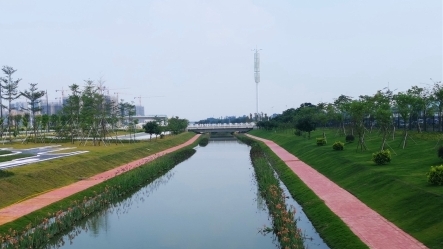 大变样！番禺汽车城这段河涌景观有了大提升