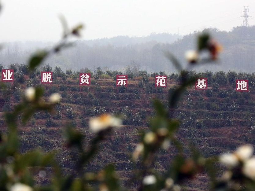 深圳出台就业扶贫基地评选暂行办法，每个基地一次性奖补20万元