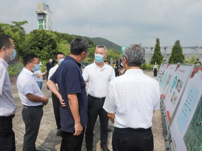 “快车道”上再提速！大鹏又释放101公顷连片产业空间  