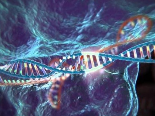 多国科学家强调：基因组编辑技术尚不能安全用于人类