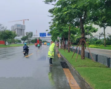 凤凰街道积极应对强降雨 全力做好防汛工作          
