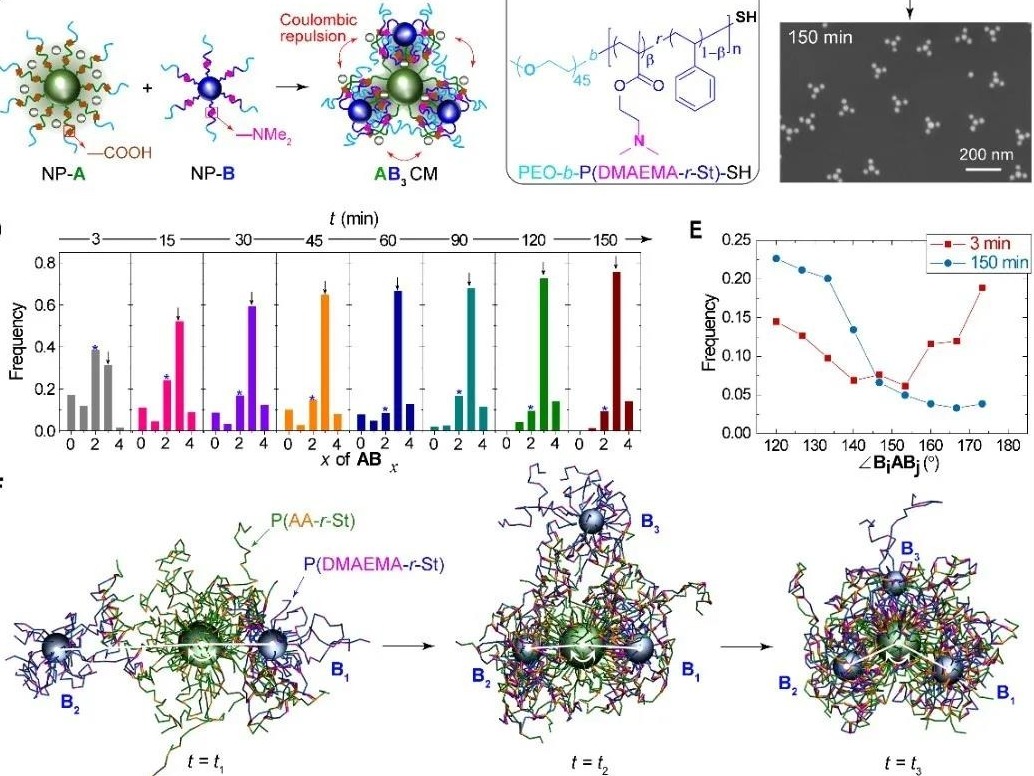 复旦“人造分子”成果登《科学》：让纳米粒子简易拼接如乐高
