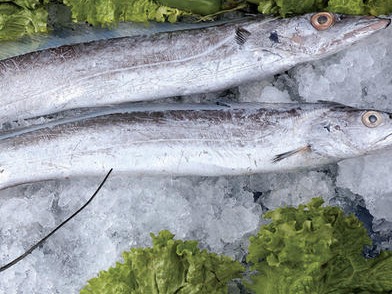海关总署：从印尼进口的冻带鱼外包装检出新冠病毒 