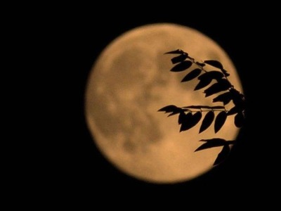 今年的月亮什么时候最圆？天文专家教赏“别样”中秋月