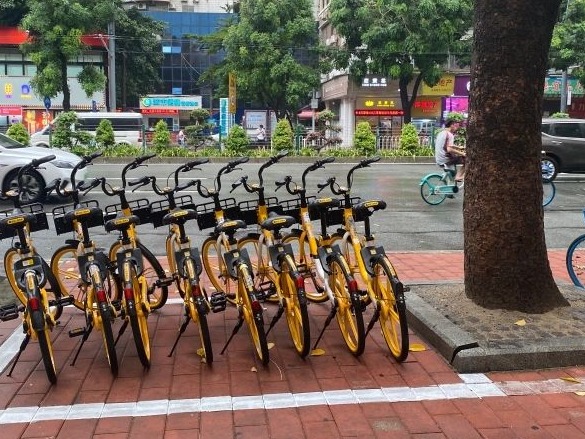回访 | 康王中路：共享单车按规摆放，内街杂物垃圾清理一空