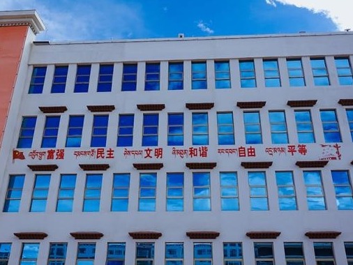 陈宝生调研西藏教育工作：推动西藏教育进入高质量发展快车道