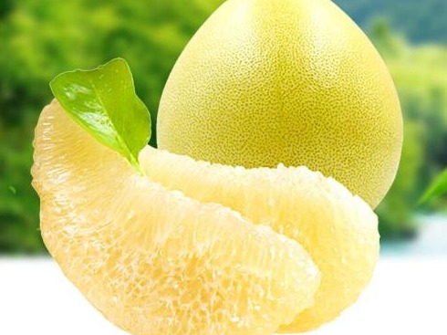 金秋时节 “柚”见丰收  广东惠东安墩镇首届蜜柚文化节等你来“团圆”！