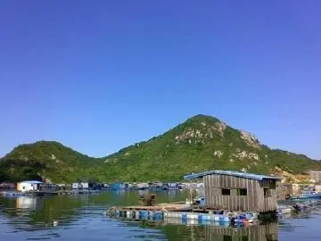 光阴的故事 | 珍珠场，一曲青春之歌