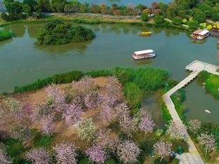 2020年海珠区十件民生实事公布