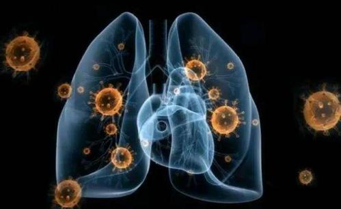 世卫组织：全球新冠肺炎确诊病例累计超2828万例