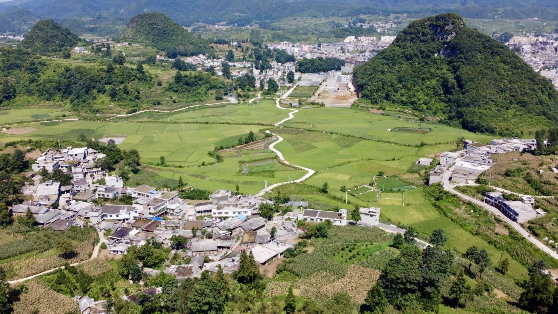 山海同行·决胜今朝｜“深”情帮扶 为贵州脱贫打下坚实产业基础