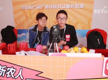 2020年中国农民丰收节开幕，拼多多“丰收馆”销量超519万单