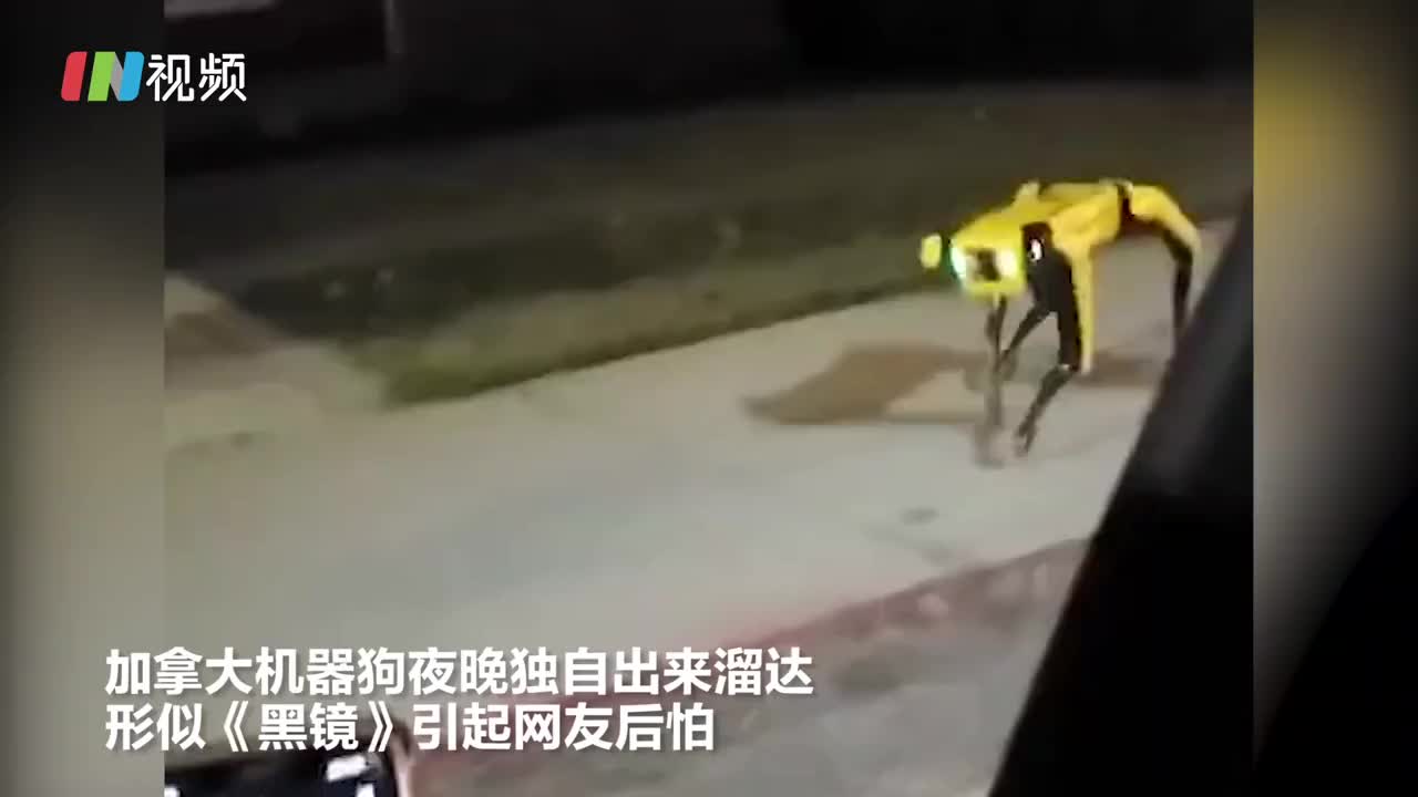 吓人！机器狗夜晚独自在街头游荡
