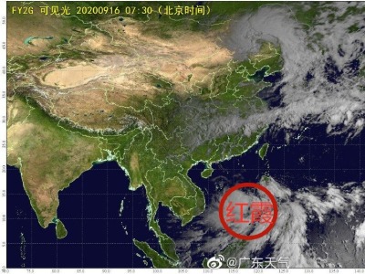 刚刚，深圳发布台风白色预警，大风大雨即将杀到