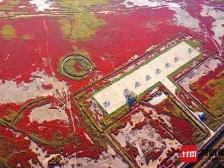 我国新增天津北大港等7处国际重要湿地，总数达64处