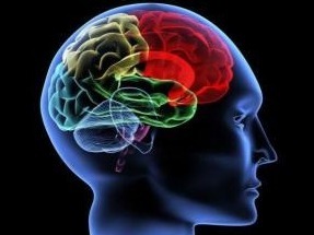 深圳先进院举办脑科学讲座：人的大脑也需多锻炼 