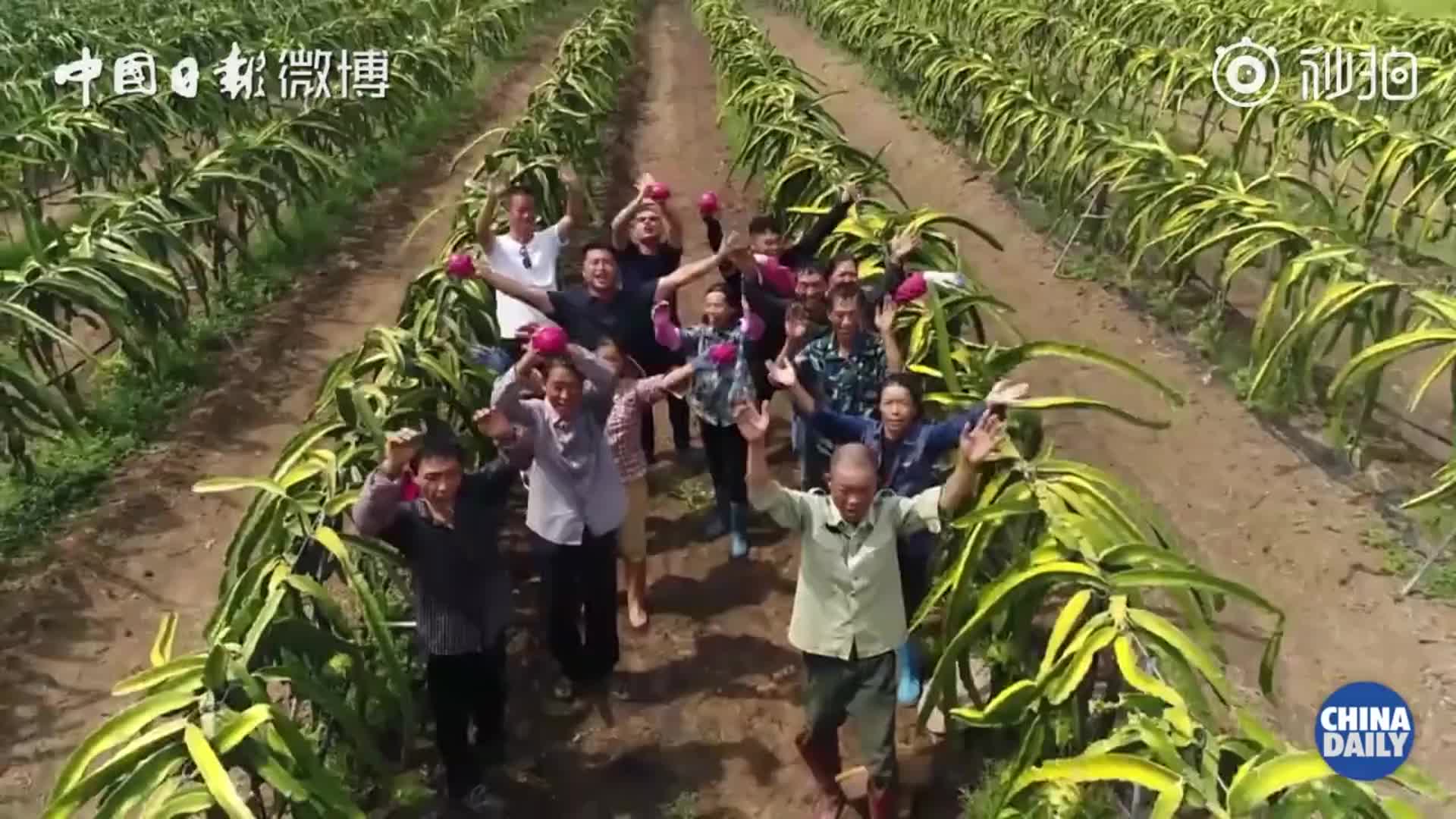 外国农民祝福中国丰收节