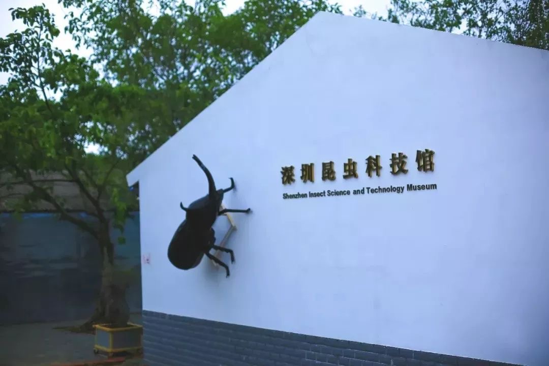 免费报名！昆虫科技馆、满京华美术馆，最新科普游等你来体验~
